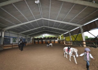 clases de equitacion